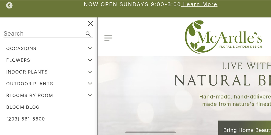 Mobile Navigation Menu